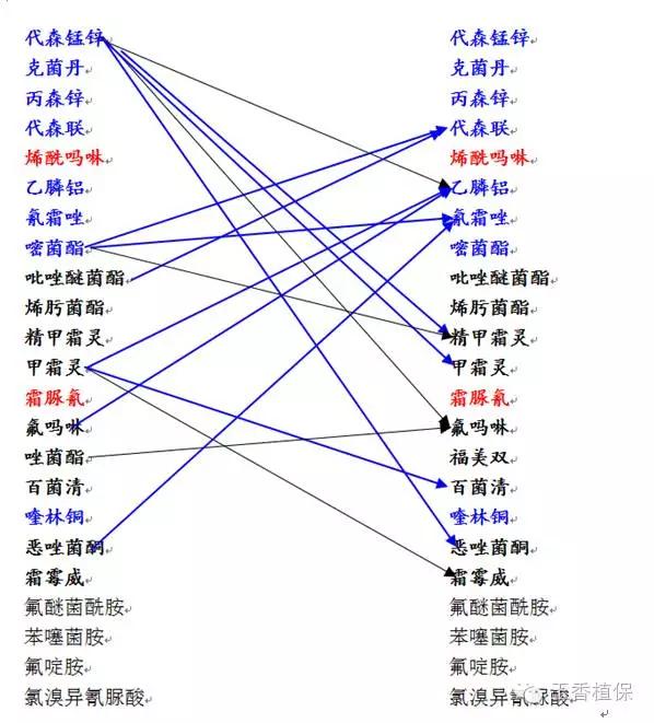 霜霉病用药方案3