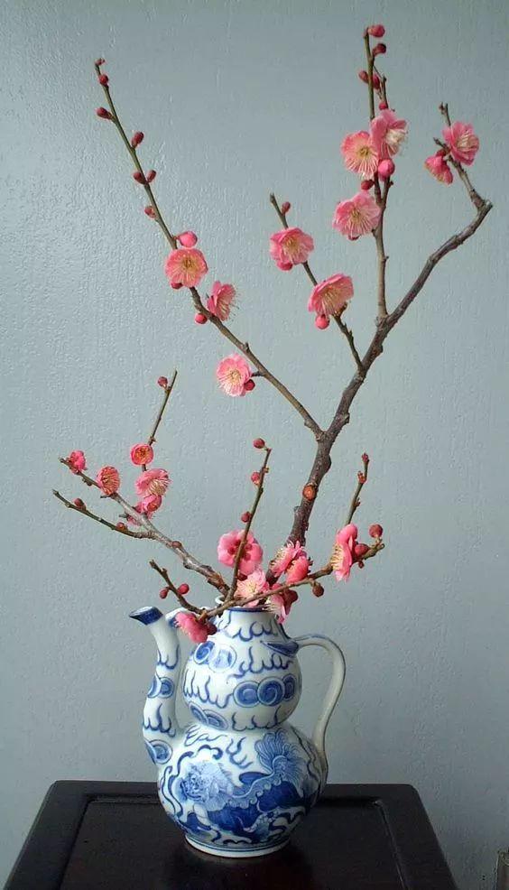 花中四君子是指什么