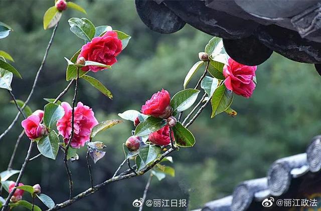 马龙小型洗砂机厂家电话