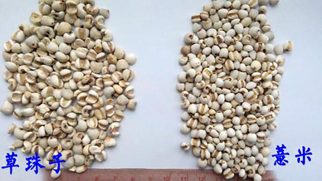 究竟谁才是祛湿的“王者”？