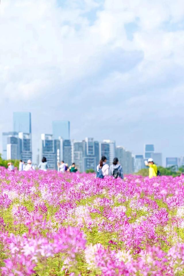 深圳旅游景区