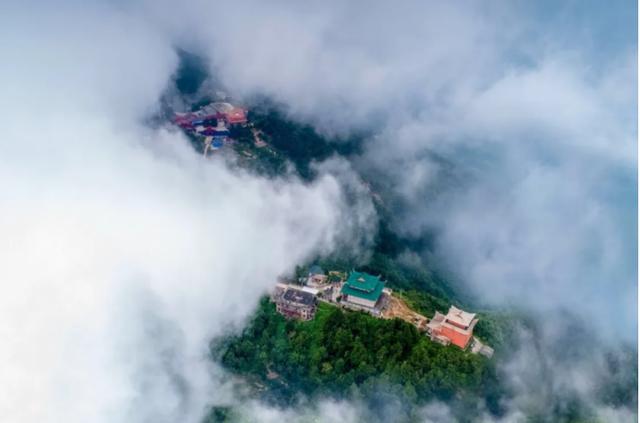 鸟声是云山悠然的种子//邹三龙