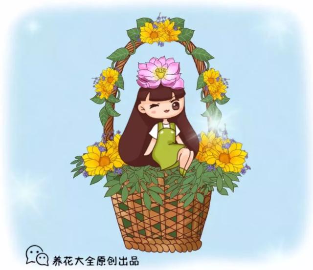 十二月的花 十二月的花（十二月的花语） 生活