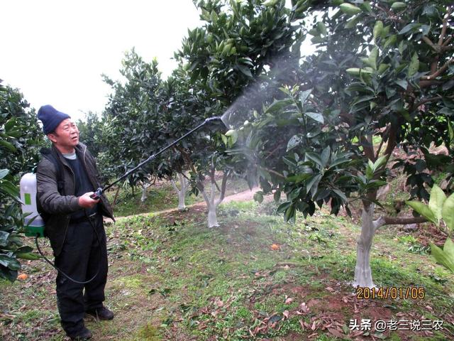 农药这样用，杀虫杀菌效果最好，牢记6点，药到病虫净，增产增收18