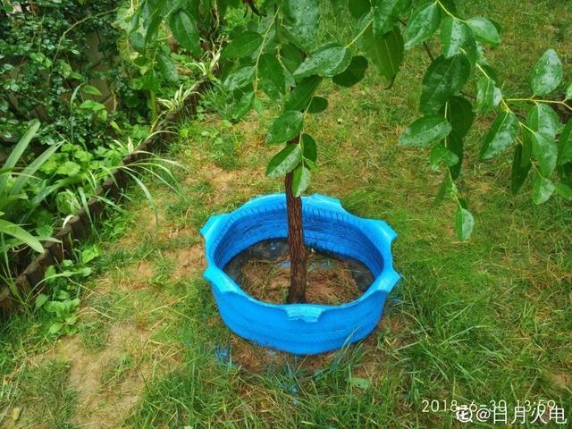 洗土豆机更换金刚砂
