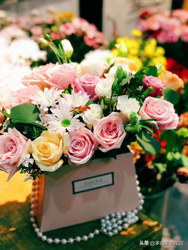 送老师什么花