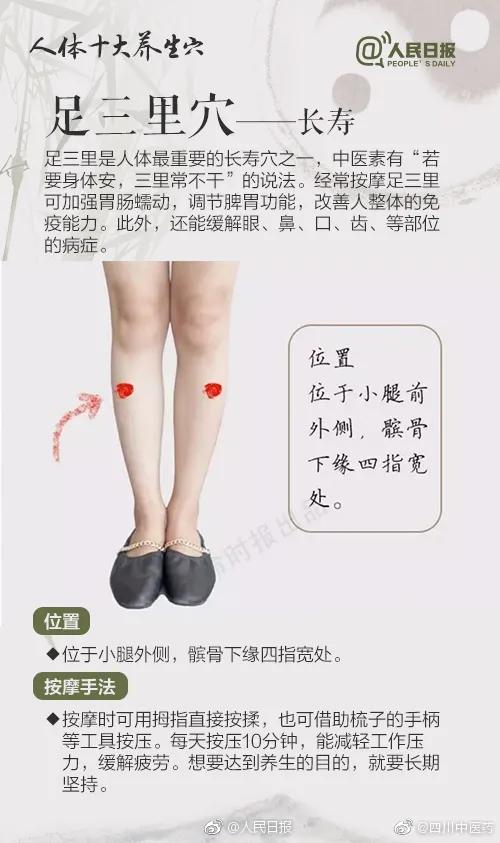 世界传统医药日丨 生活处处有中医，今天你认真养生了吗？