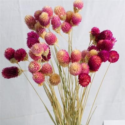 鲜花保鲜的方法
