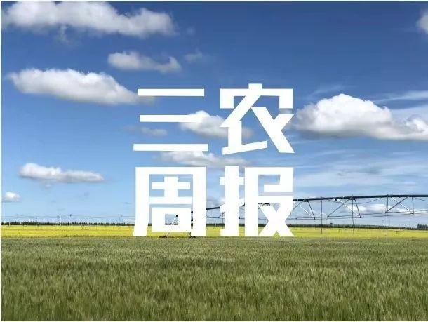 包含高邮轮式洗砂机报价的词条