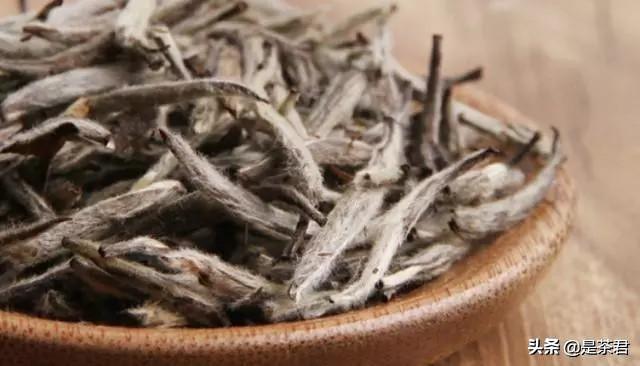 茶树破碎机