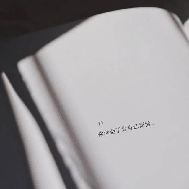 又霸气又高冷的背景图片ins高冷风格背景照片