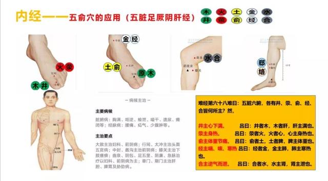 五输穴的位置及应用