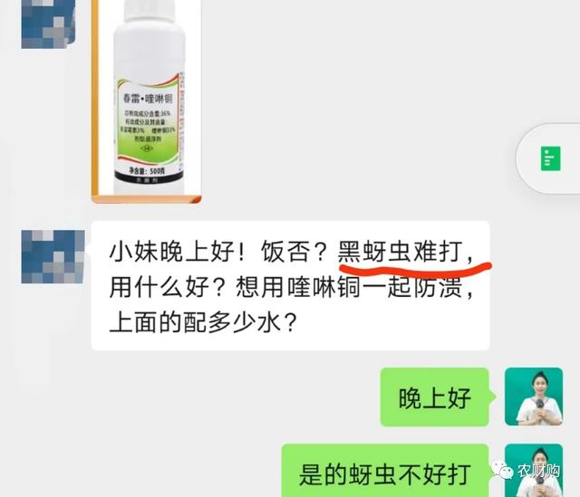 蚜虫粉虱老是打不下去，试试这5个药，平价的，贵的根据自己选择4