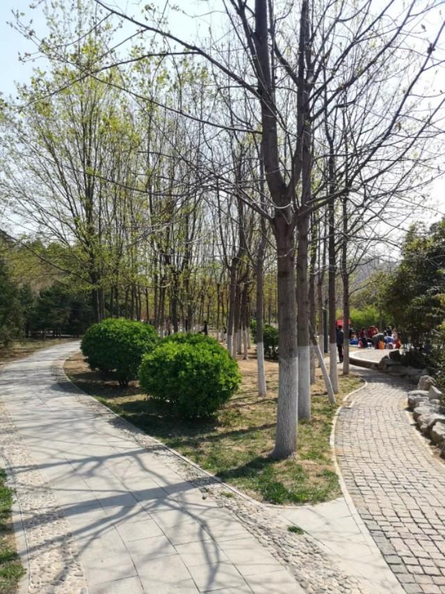 济南大学西校区 济南大学西校区（济南大学西校区邮编） 生活