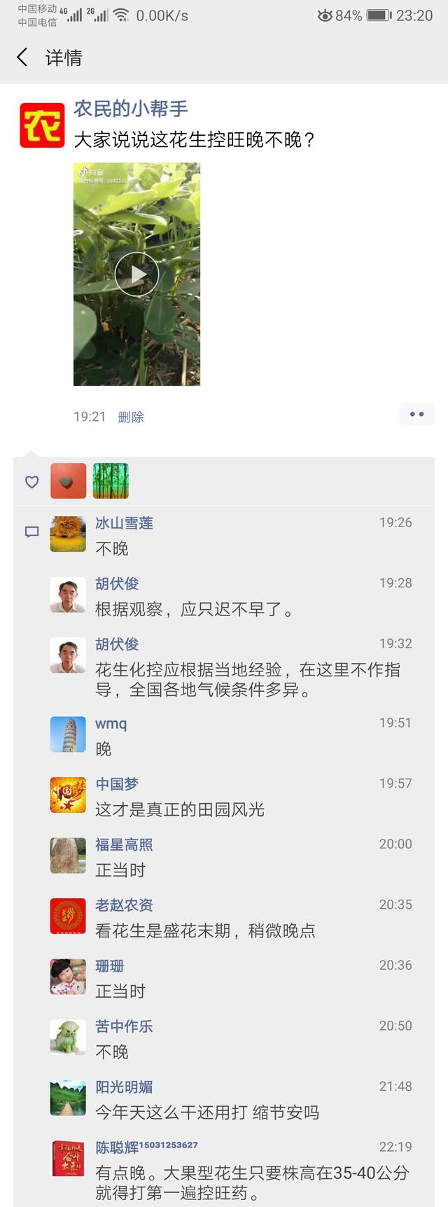 花生控旺最佳时期是什么时候？这2点技巧你会判断吗？2