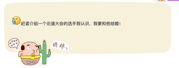 问道宠物时装