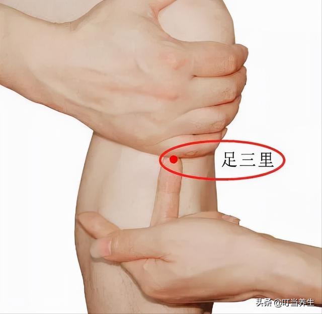 长寿秘诀——足三里