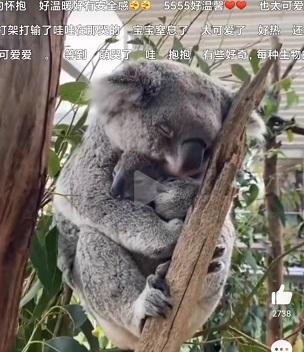 你可看见过，你转身后他们的样子？