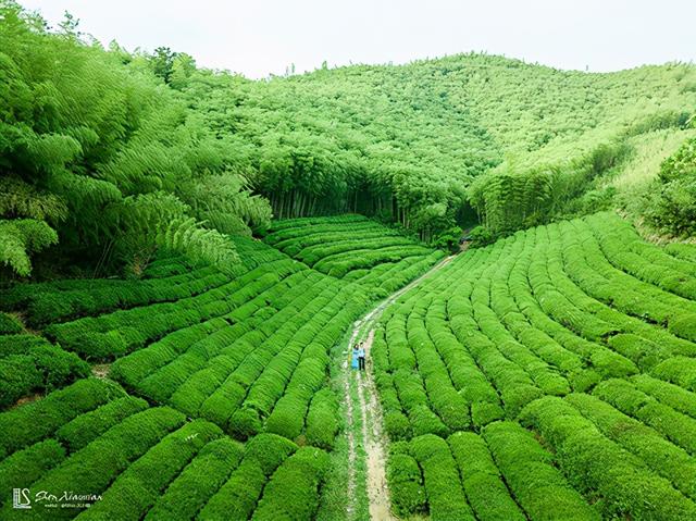 湖州有什么好玩的地方旅游景点