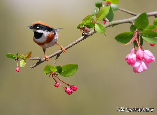 老公出轨处理的最佳方法（老公出轨的正确处理方法）