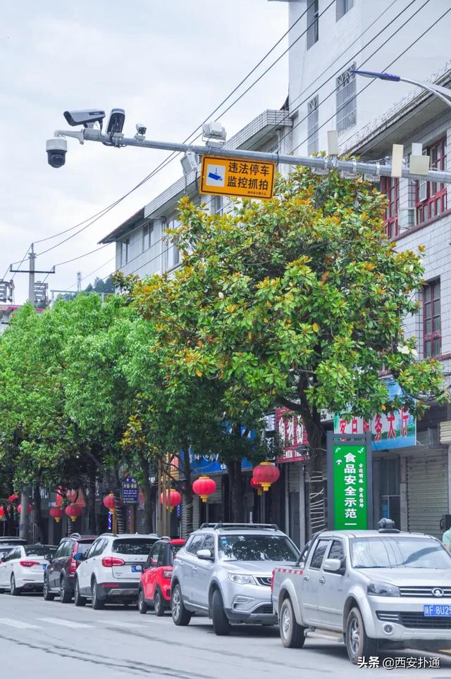 佛坪自然保护区