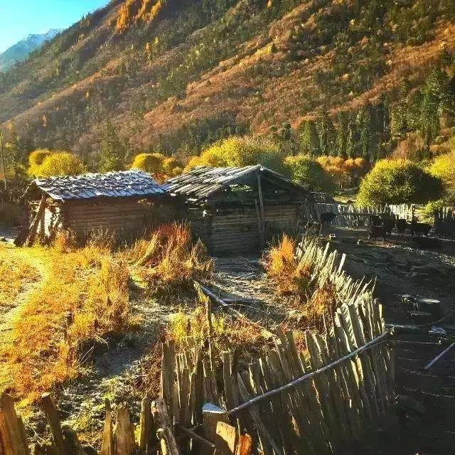 阿坝州球磨制砂机高清图