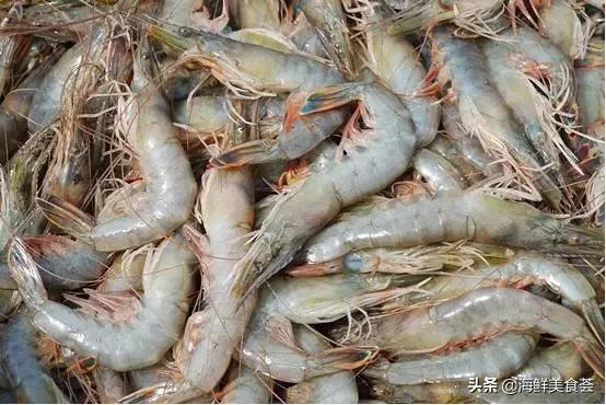 海鲜种类