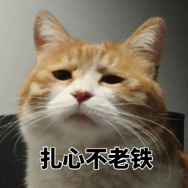 高夫男士护肤品