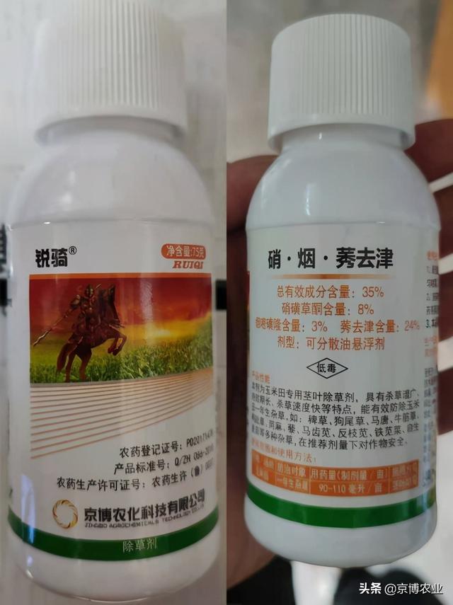 玉米地除草用这个，安全高效不返青