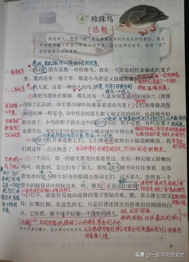 垂蔓的意思