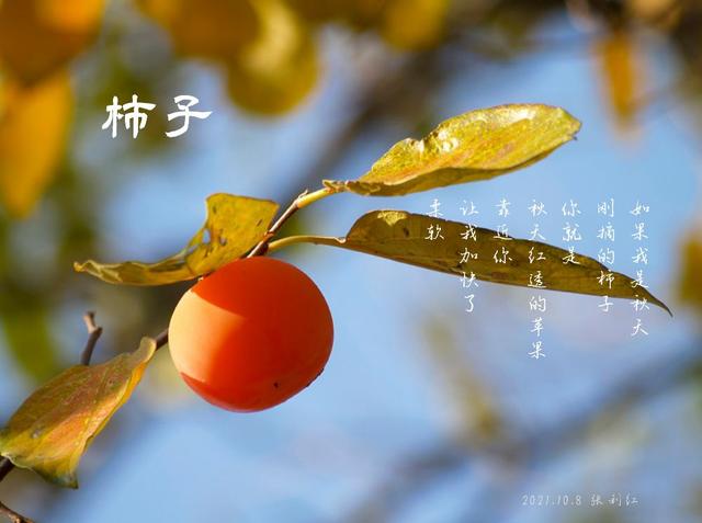 小诗二首：霜降