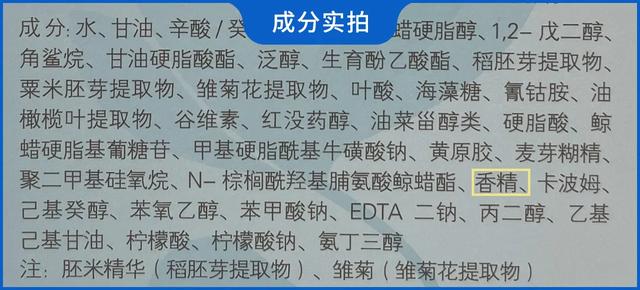 湖南工程网络展口碑推荐