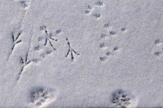 人生最大的财富莫过于跟着孩子一起“长大”