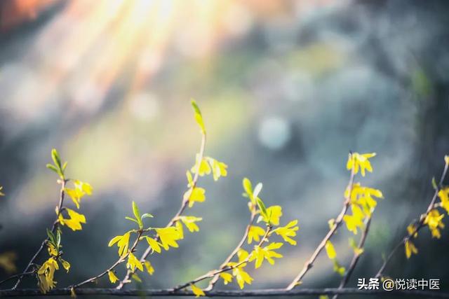 治疗眼病 如何用好清热解毒药 太阳信息网