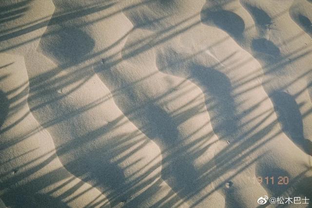 阿勒泰自动螺旋洗砂机多少钱