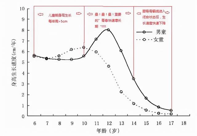 “转骨趁秋天”：又到身高猛长期，抓住机会，孩子的个头窜得更高