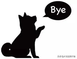 唐犬