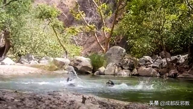 致命的拍摄：印度自拍死亡率全球第一