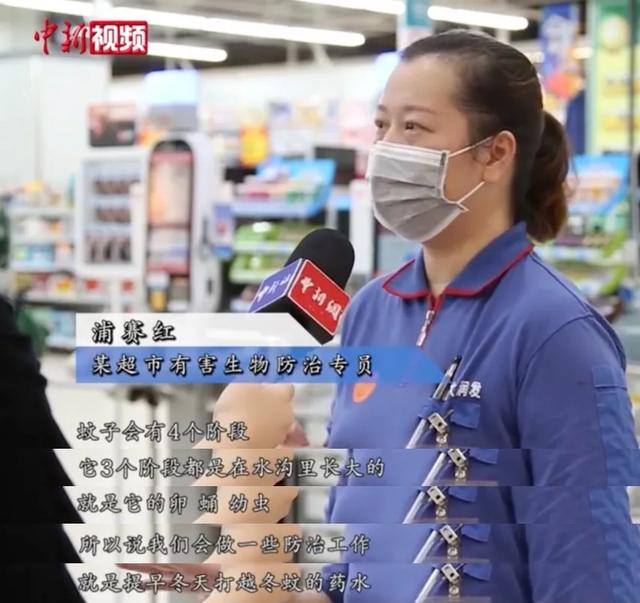 上海阿姨带火超市最隐秘的职业：你的苟且，正在成为别人的红利
