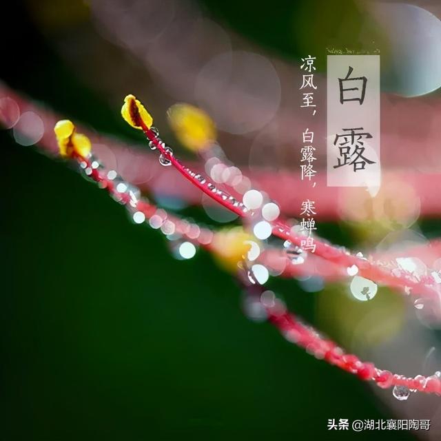 白露到，吃2粥，饮2水，喝2汤，润秋燥解秋乏，开启健康养生模式