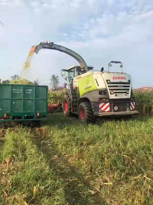 点赞！岳阳县中洲乡变废为宝 化解污染耕地难题