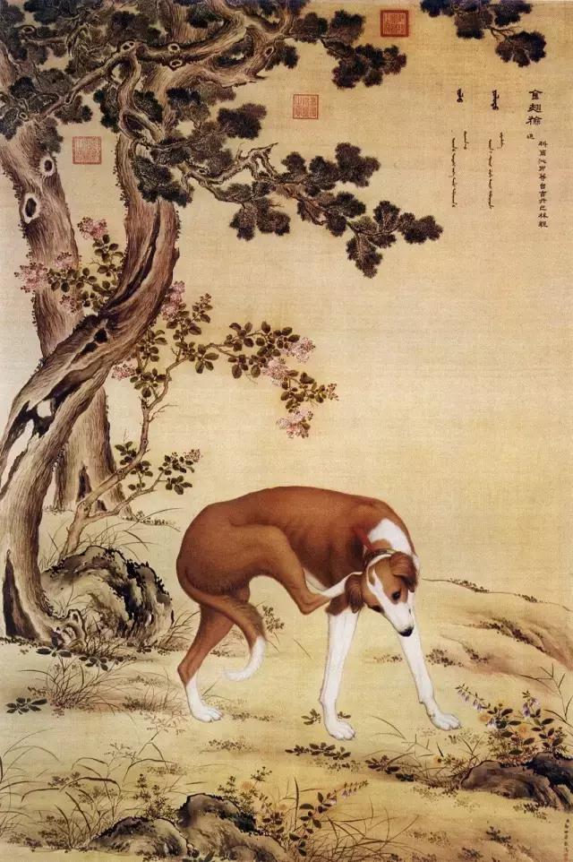 拉萨立轴式制砂机参数