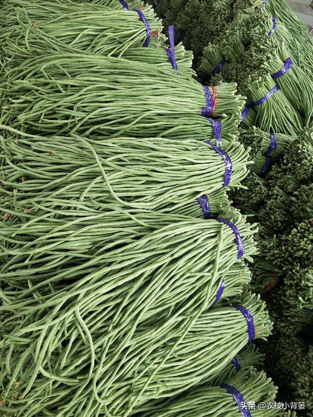 豆角化花是怎么回事