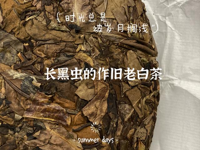 立夏洗砂机
