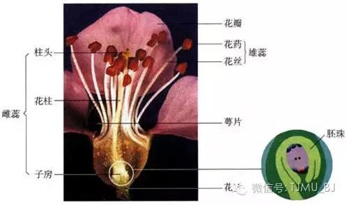 关于徐州全自动陶瓷过滤机厂家的信息