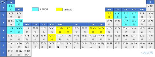 双缩脲试剂检测蛋白质原理