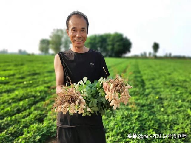 氮肥是什么