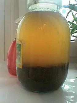 格瓦斯含酒精吗