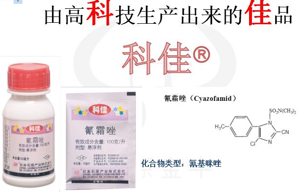 科佳（氰霜唑）农药_科佳如何使用-云南天穗农业2