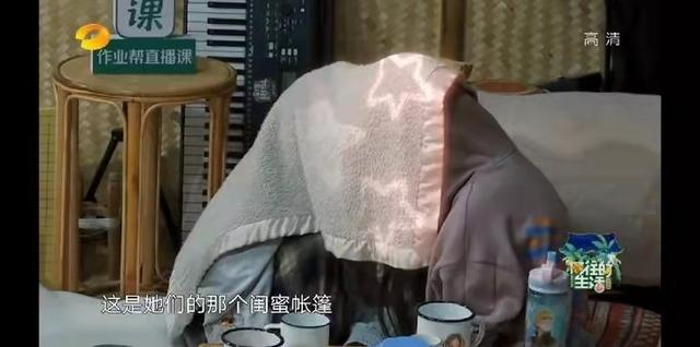 张子枫欧阳娜娜友情:《向往4》黄磊郑钧老狼回忆峥嵘岁月 欧阳娜娜张子枫友情感人心